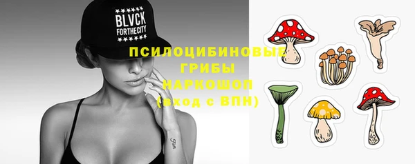 apvp Балабаново