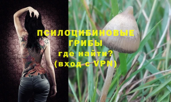 ешки Балахна